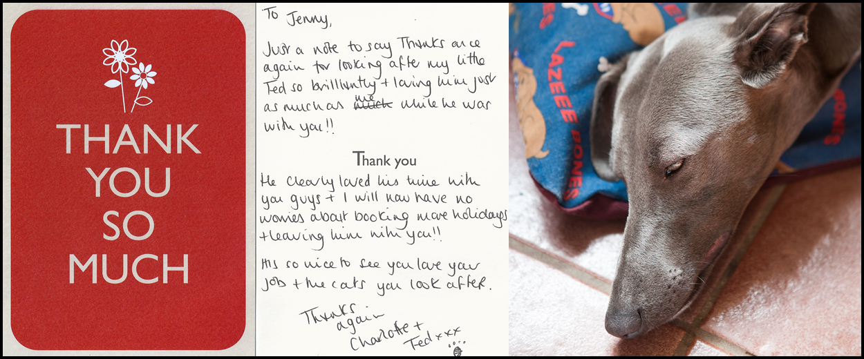 Luxury Dog Boarding Kennels Sheffield Broomhill Farm Luxury Boarding