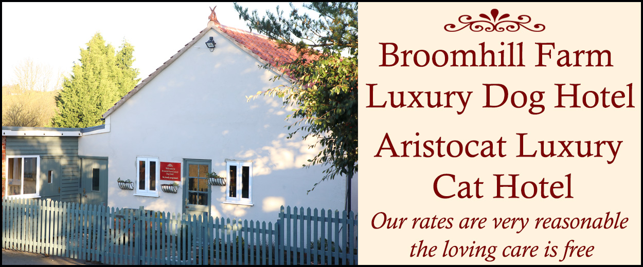 Luxury Dog Boarding Kennels Sheffield Chesterfield Broomhill Farm