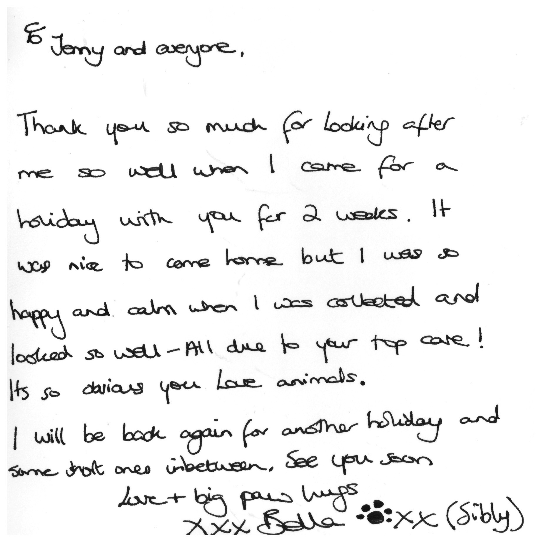 Luxury Dog Boarding Kennels Sheffield Dog Boarding Kennels