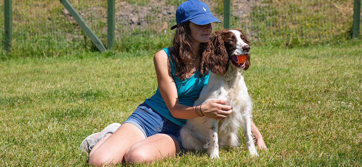 Luxury Dog Boarding Kennels Sheffield