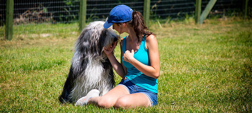 Boarding Kennels Rotherham