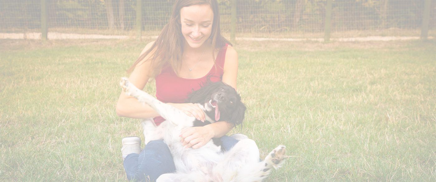 Dog Boarding Kennels Chesterfield