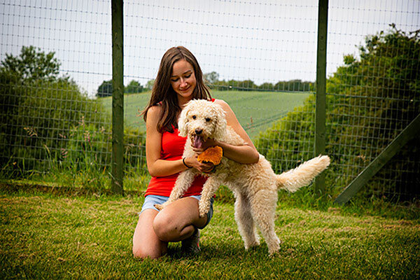 Dog Care in Chesterfield