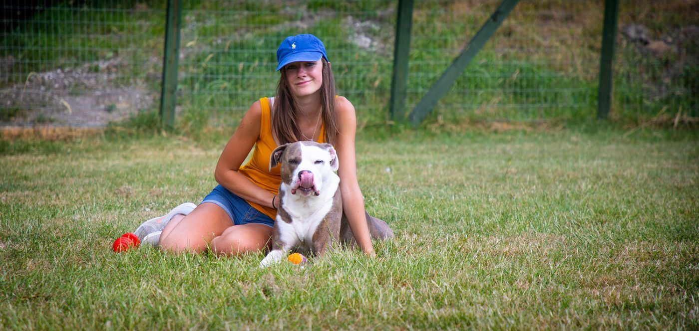 Dog Boarding Kennels in Sheffield