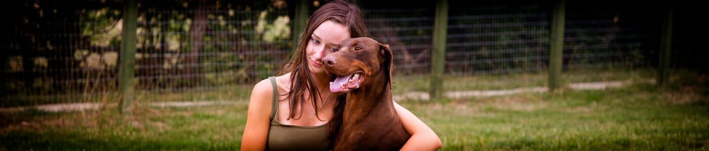 Dog Care in Chesterfield