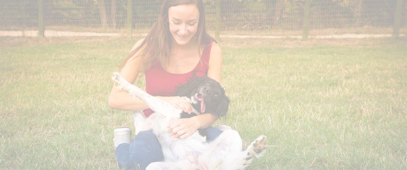 Dog Kennels in Sheffield