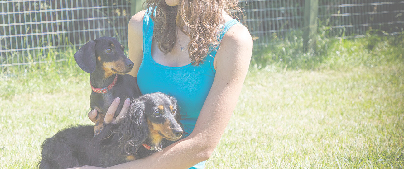 Dog Care in Chesterfield