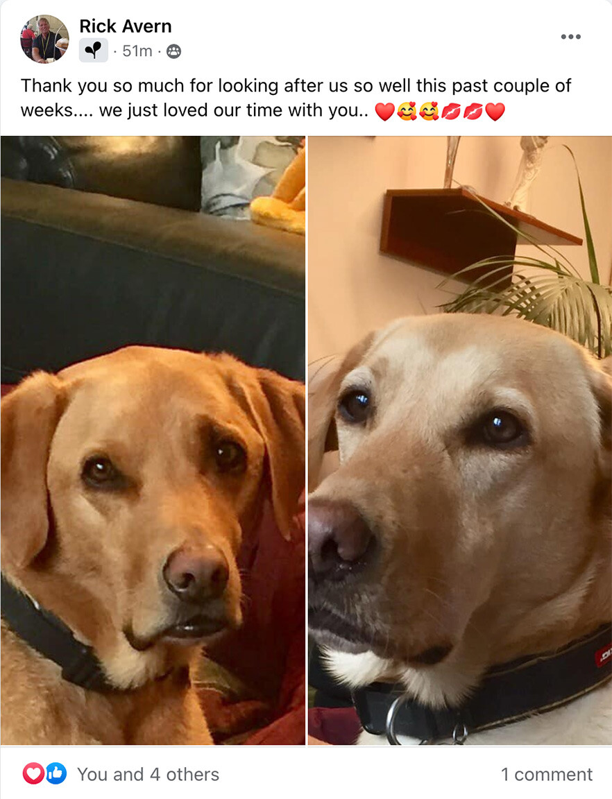 Luxury Dog Hotel Sheffield