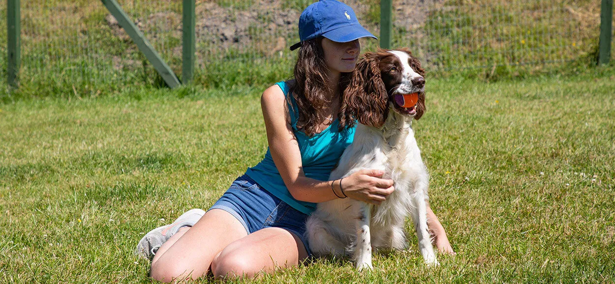 Boarding Kennels Chesterfield