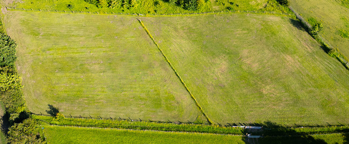 Dog Exercise Field Chesterfield