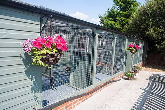 Boarding Cattery Chesterfield
