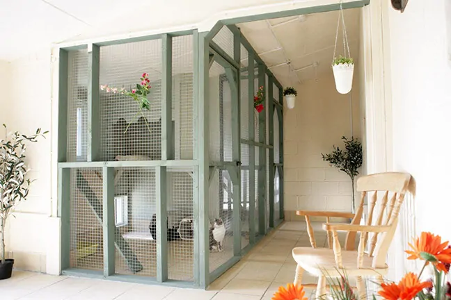 Boarding Cattery Chesterfield