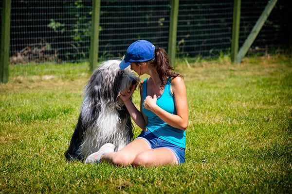 Luxury Dog Boarding Kennels Sheffield