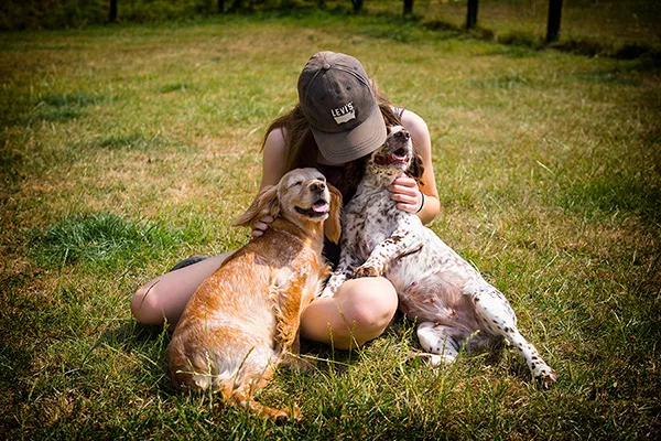 Luxury Dog Boarding Kennels Sheffield