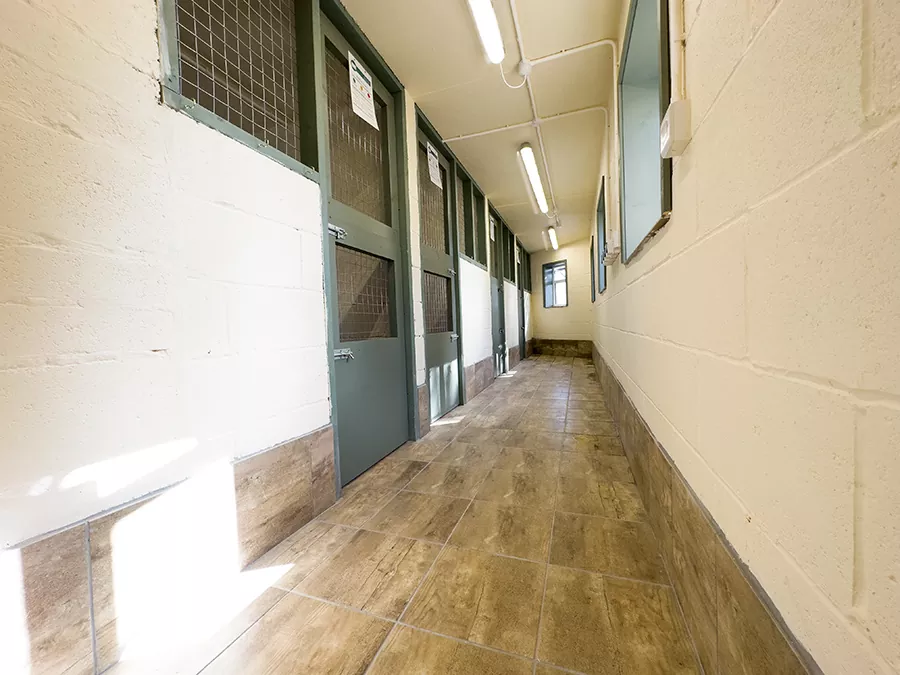 Luxury Dog Boarding Kennels Sheffield