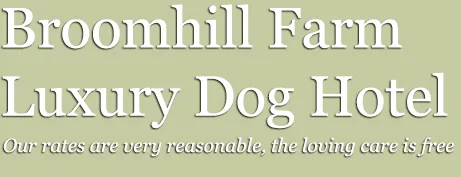 Broomhillfarm Luxury Dog Hotel