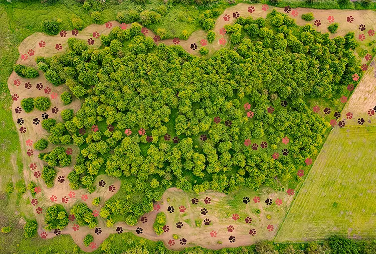 Boarding Kennels Sheffield